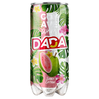 DADA GOYAVE 33CL*24