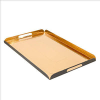 PLATEAUX AVEC ANSES 750 G/M2 38x24+2 CM NOIR/OR CARTON (25 UNITÉ)