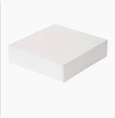 BOÎTES PATISSERIES SANS FENÊTRE THEPACK 20x20x5 CM BLANC CARTON NANO-MICRO (200 UNITÉ)