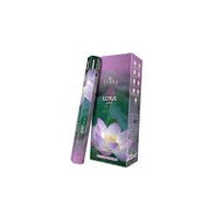 TERRA - LOTUS ENCENS
