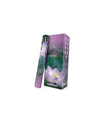 TERRA - LOTUS ENCENS
