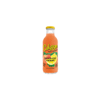 CALYPSO PECHE X12