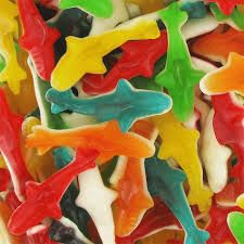 BONBON DE 1KG - REQUIN